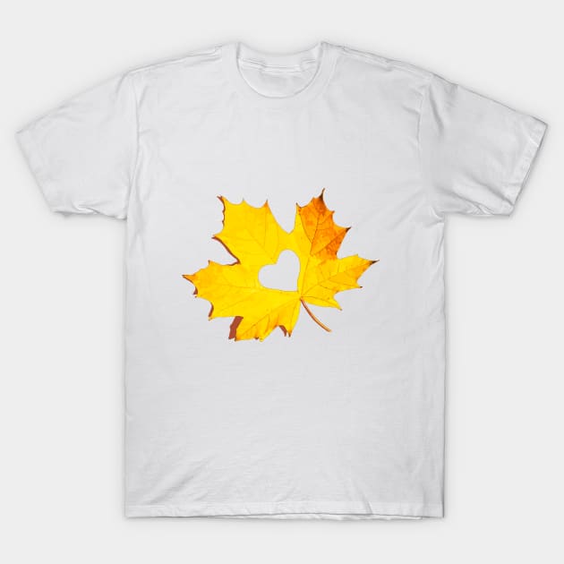 Maple Leaf T-Shirt by Ocennyy